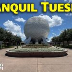 Live: Tranquil Tuesday – Magic Kingdom Monorail Resorts – 8-18-26 – Walt Disney World Live Stream