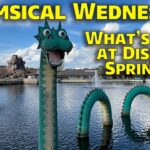Live: Whimsical Wednesday at Disney Springs (Walt Disney World Live Stream)