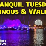 🔴Live: Tranquil Tuesday – Luminous Fireworks & Walkout – 9-22-26 – Walt Disney World