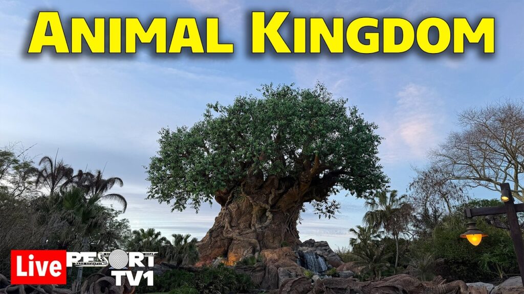 🔴Live: Friday Night Live at Disney’s Animal Kingdom & Animal Kingdom Lodge – 9-25-26
