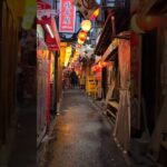 I’ve Been to Japan and Love It