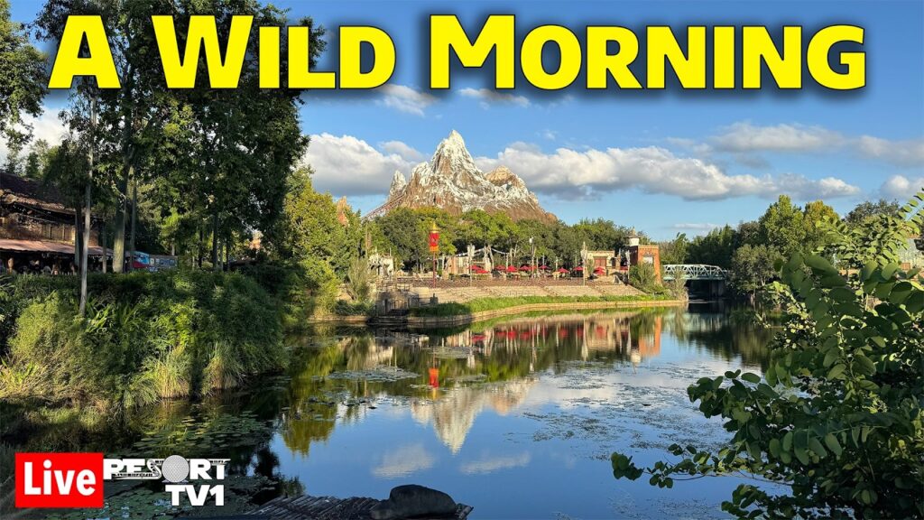 Live: A Wild Morning at Disney’s Animal Kingdom – 10-24-26 – Walt Disney World