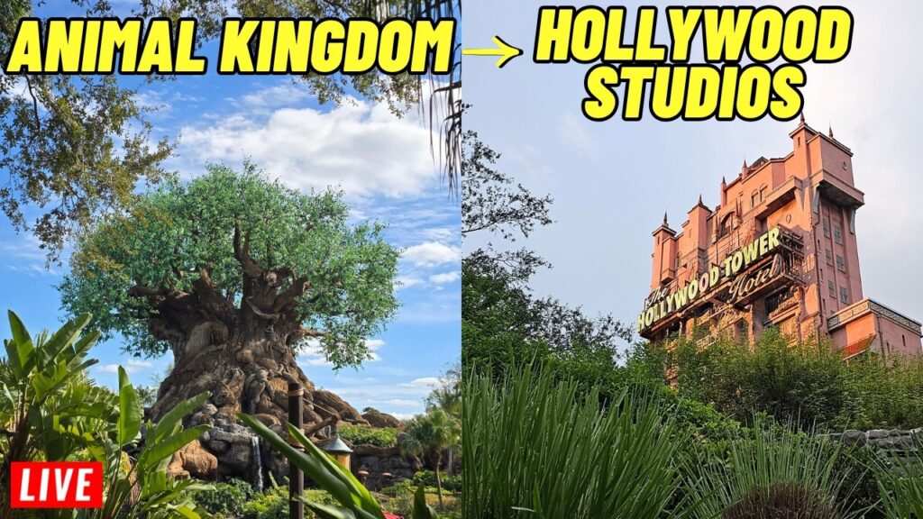 Live Animal Kingdom to Disney’s Hollywood Studios — Fantasmic evening at Walt Disney World (10/9/2026)
