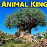 Live: Friday Night Live Announcement at Animal Kingdom (10-16-26) | Walt Disney World Live Stream