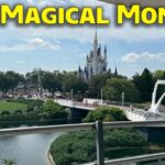 Live: Magical Monday at the Magic Kingdom – 10-5-26 – Walt Disney World Live Stream